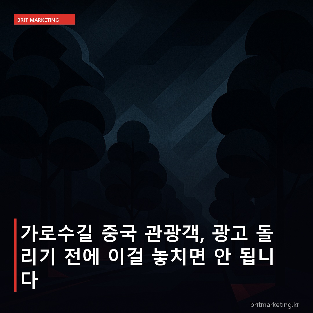 가로수길 중국 관광객, 광고 돌리기 전에 이걸 놓치면 안 됩니다